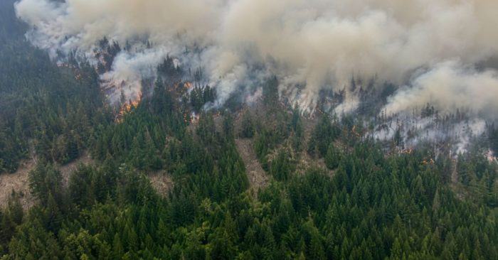 Canada điều máy bay sơ tán người dân giữa cháy rừng tại British Columbia khi khói lửa lan rộng, cập nhật diễn biến mới nhất.