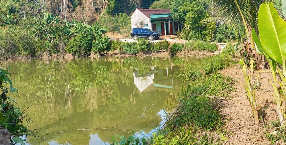 Ngôi nhà cũ của gia đình ông Yêm – nơi nuôi dưỡng 7 con gái trưởng thành, trở thành cử nhân, vượt khó giữa rừng sâu.
