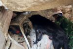 Đoàn Việt Nam tìm thấy 23 nạn nhân động đất tại Venezuela