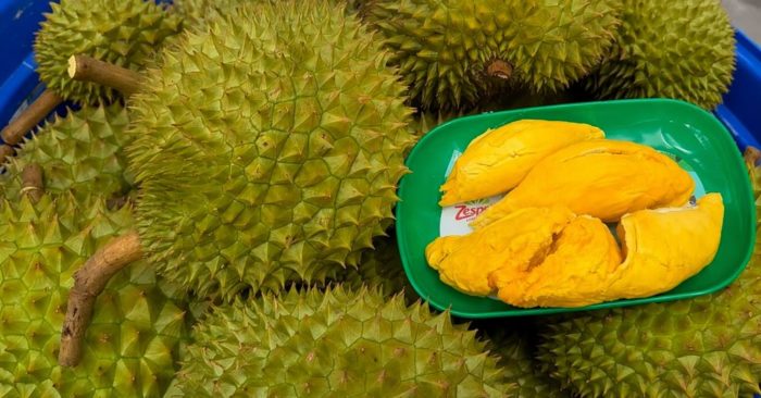 Giá sầu riêng tiếp tục giảm sâu tại nhiều nhà vườn, gây áp lực lên người trồng. Xem diễn biến mới nhất và nguyên nhân.