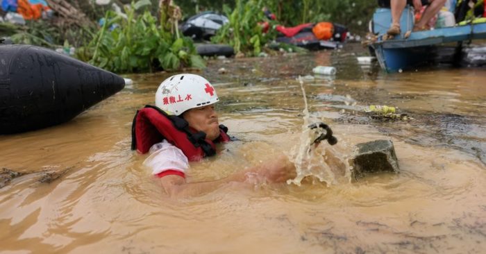 Sư tử chết đuối, rắn độc sổng chuồng, lợn bị lũ cuốn giữa mưa lũ nghiêm trọng. Xem diễn biến và những nguy cơ đáng lo.