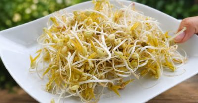 Giá đỗ trong bữa sáng bổ sung dưỡng chất và ổn định đường huyết