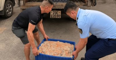 Hưng Yên tiêu hủy nửa tấn lòng lợn bốc mùi trên đường tiêu thụ