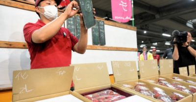Quả vải Nhật 260.000 đồng cho 4 quả: giá cao, sản lượng ít, người Việt chọn hàng đông lạnh