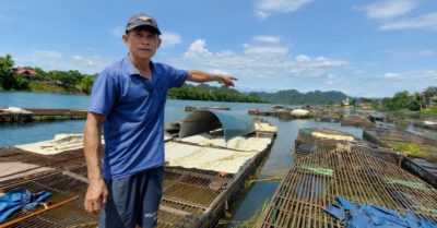 259 hộ dân Phong Nha sống được từ cá lồng sông Son nhờ ba mươi năm kiên trì