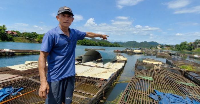 Cá lồng sông Son mang về gần 50 tỷ đồng mỗi năm, trở thành đặc sản vùng di sản Phong Nha, góp phần nâng cao thu nhập cho người dân.