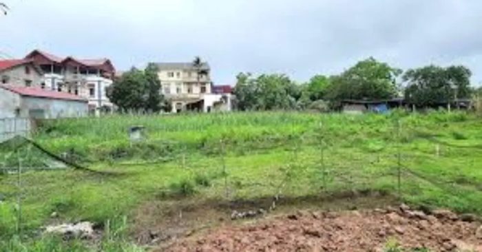 Vụ tranh chấp 1.200 m² đất thừa kế giữa 11 anh em ruột gây chú ý khi người đứng tên sổ đỏ hơn 20 năm vẫn bị kiện đòi chia đất.