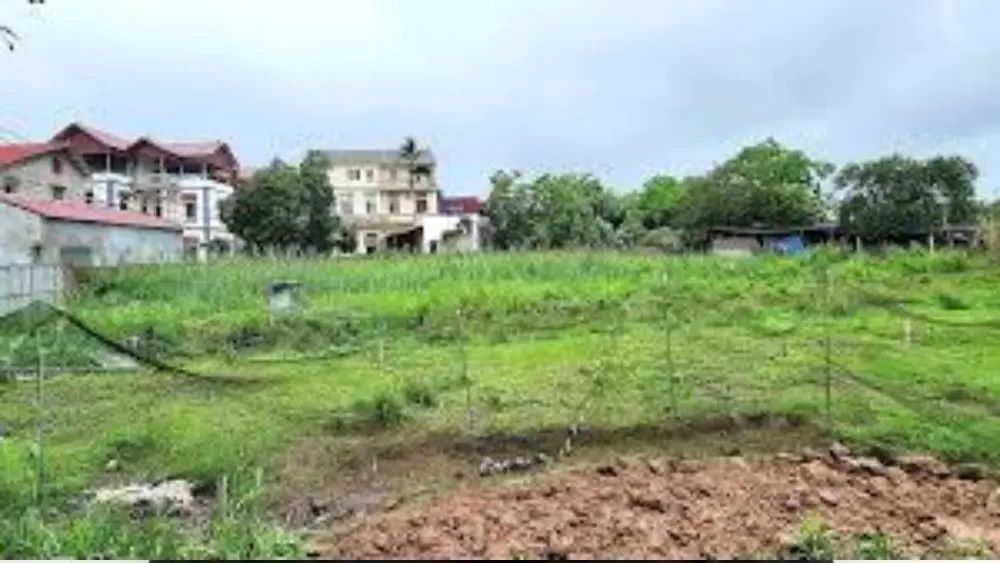Vụ tranh chấp 1.200 m² đất thừa kế giữa 11 anh em ruột gây chú ý khi người đứng tên sổ đỏ hơn 20 năm vẫn bị kiện đòi chia đất.