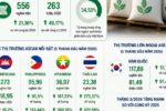 Phân bón Việt Nam tăng tốc xuất khẩu sang Đông Nam Á và Hàn Quốc
