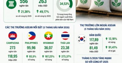 Phân bón Việt Nam tăng tốc xuất khẩu sang Đông Nam Á và Hàn Quốc