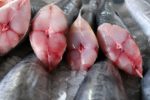 Bốn loại cá chứa hàm lượng thủy ngân cao nhất cần hạn chế