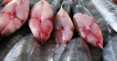 Bốn loại cá chứa hàm lượng thủy ngân cao nhất cần hạn chế