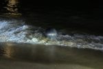 Bãi biển Queensland đóng cửa sau khi quả cầu kim loại nghi là rác vũ trụ dạt vào bờ