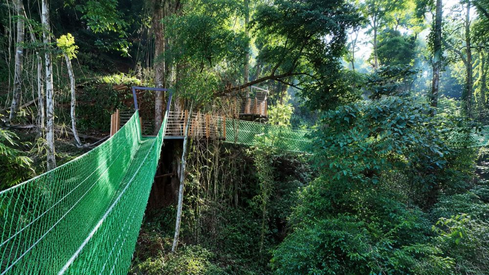 Măng Đen Treehouse được đề cử Làng du lịch tốt nhất thế giới 2026, gây ấn tượng với trải nghiệm khám phá thiên nhiên giữa rừng xanh.