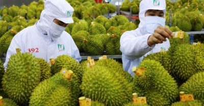 Bộ nông nghiệp đưa hệ thống truy xuất nguồn gốc nông sản vào vận hành từ ngày 01/7