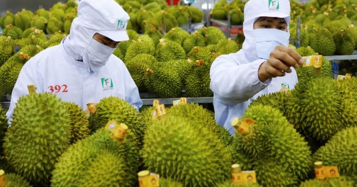Bộ nông nghiệp đưa hệ thống truy xuất nguồn gốc nông sản vào vận hành từ ngày 01/7