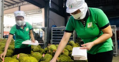 Ấn Độ mở cửa sầu riêng Việt Nam, không kèm điều kiện đặc biệt
