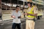 CSGT TP.HCM chặn 201 con heo nhiễm chất cấm trước khi vào lò mổ