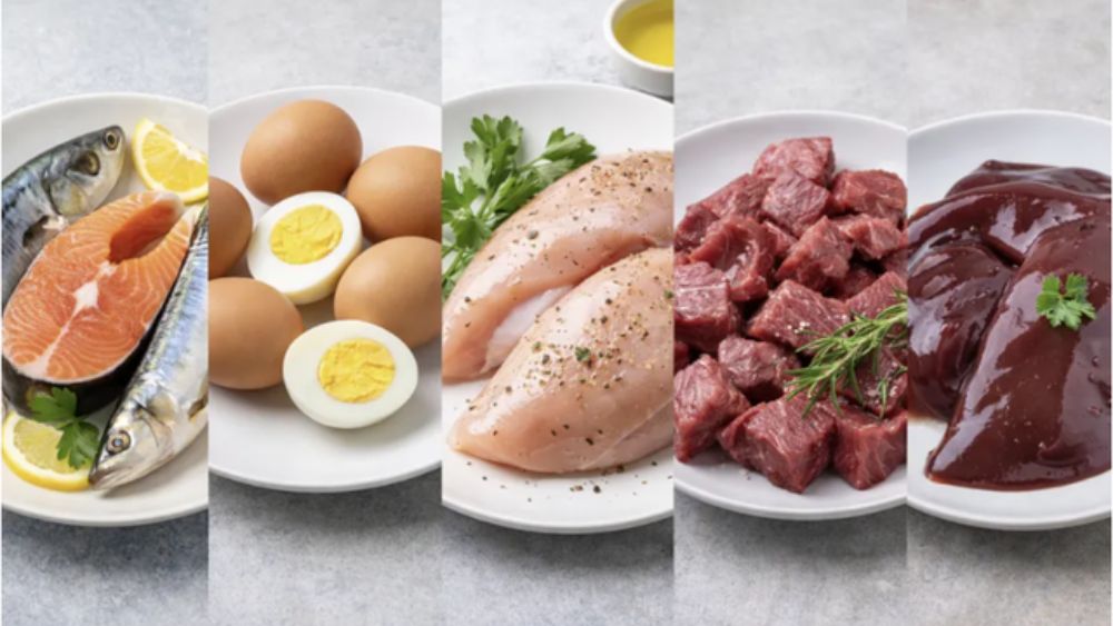 10 thực phẩm tốt cho não giàu đạm, Omega-3, vitamin B12 và dưỡng chất cần thiết, hỗ trợ duy trì trí nhớ ở người lớn tuổi.