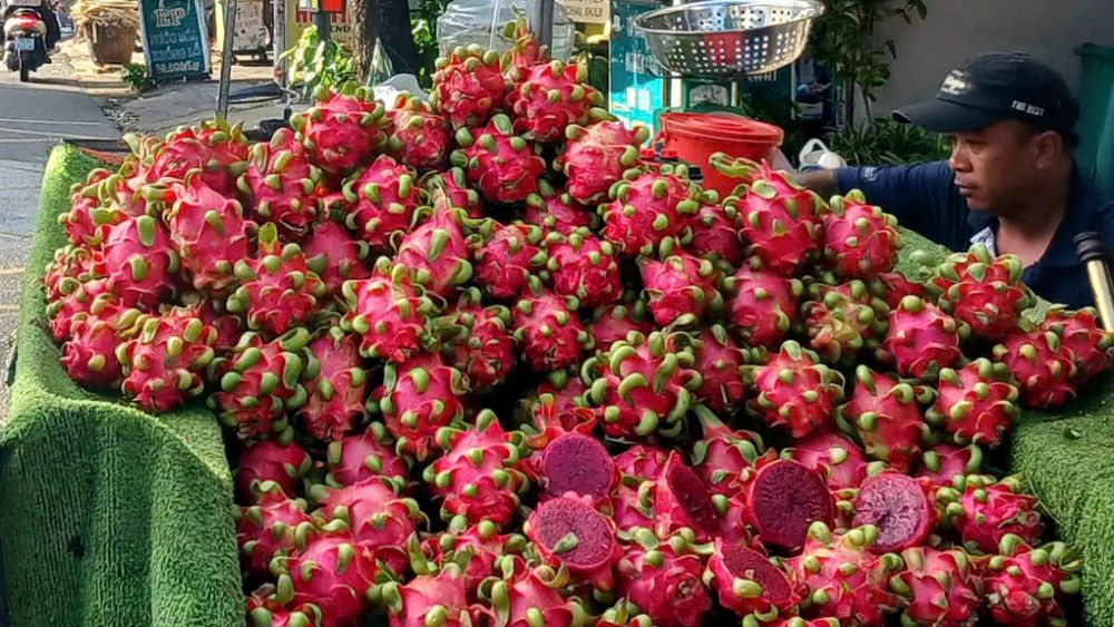 Giá thanh long tăng gấp đôi sau giai đoạn chạm đáy, lên 14.000-20.000 đồng/kg, giúp nhiều nông dân có lãi trở lại.