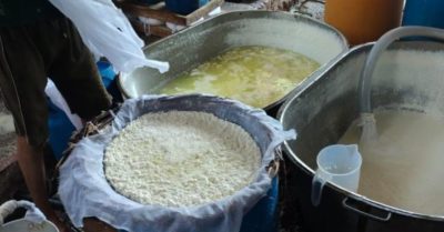 Sữa thật giá bằng lời quảng cáo, còn bên trong là dầu cọ và hóa chất
