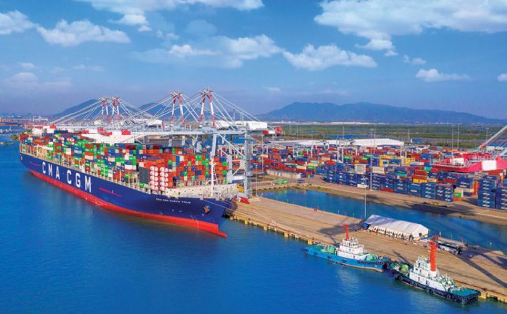 Xuất khẩu nghêu Việt Nam tăng 17% trong 7 tháng, riêng thị trường Mỹ tăng 62%, vươn lên vị trí thứ ba với nhiều dư địa tăng trưởng.