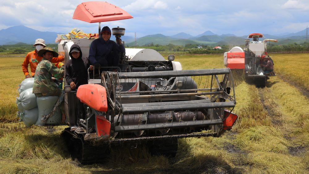 Gom đất trồng lúa, anh Trần Văn Khánh thuê máy gặt thu hoạch 22 ha, hướng tới mô hình sản xuất tập trung hiệu quả.