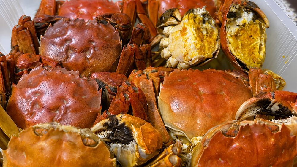 Cua da đầu mùa giá tới 700.000 đồng/kg vẫn hút khách nhờ chất lượng thịt chắc, gạch thơm. Xem diễn biến thị trường mới nhất.