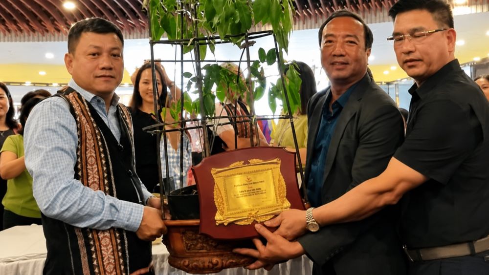 Củ sâm Ngọc Linh hơn 35 năm tuổi được đấu giá 725 triệu đồng, thu hút sự quan tâm tại sự kiện tôn vinh dược liệu quý Việt Nam.