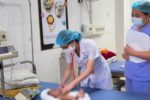 Nhầm sữa tươi cấp đông, trẻ sinh non mắc viêm ruột hoại tử