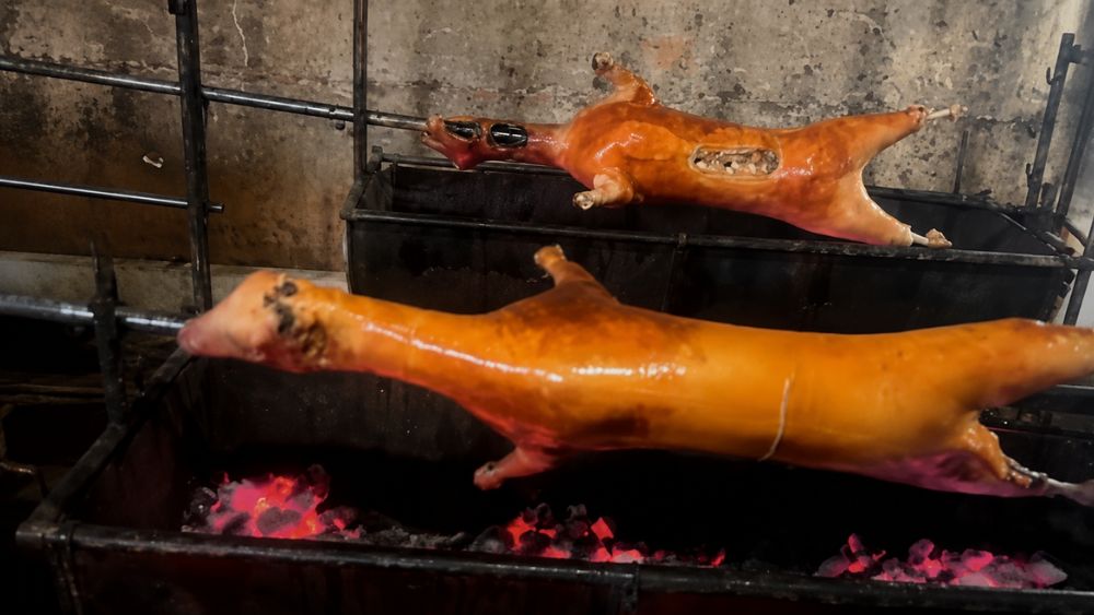 Phát hiện côn trùng gây hại tại nhà hàng thịt bê nổi tiếng ở Nghệ An, cùng nhiều vi phạm an toàn thực phẩm, bị xử phạt 14 triệu đồng.