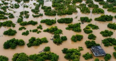 Hàng trăm hecta cây ăn quả Bắc Ninh ngập lũ, thiệt hại tiền tỷ