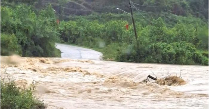 Mưa lớn ở Nghệ An gây ngập cầu, sạt lở và chia cắt nhiều bản biên giới. Cập nhật diễn biến và công tác ứng phó mới nhất.