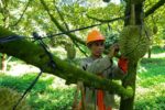 Chặt keo, trồng sầu riêng, nông dân Raglai thu tiền tỷ