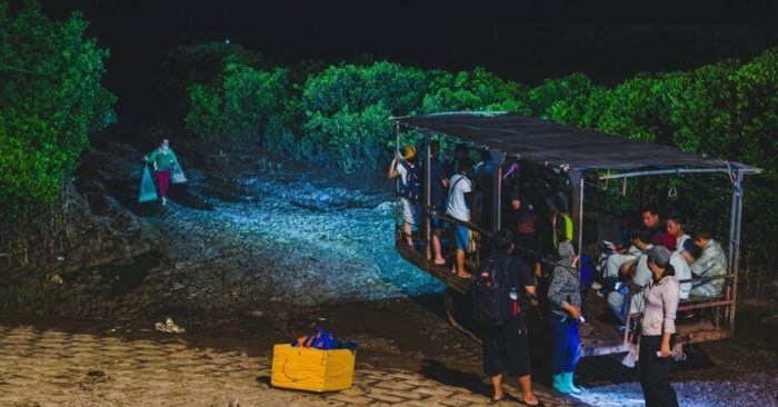 Hàng nghìn người dậy từ 3h sáng săn biển vô cực