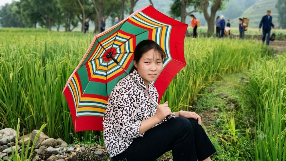 Hành trình 16 năm trình bày Đòi công lý đầy đủ gian nan sau khi thực hiện nhiệm vụ bất ngờ thoát khỏi hình tử. Xem chi tiết công việc ngay! (129 ký tự)