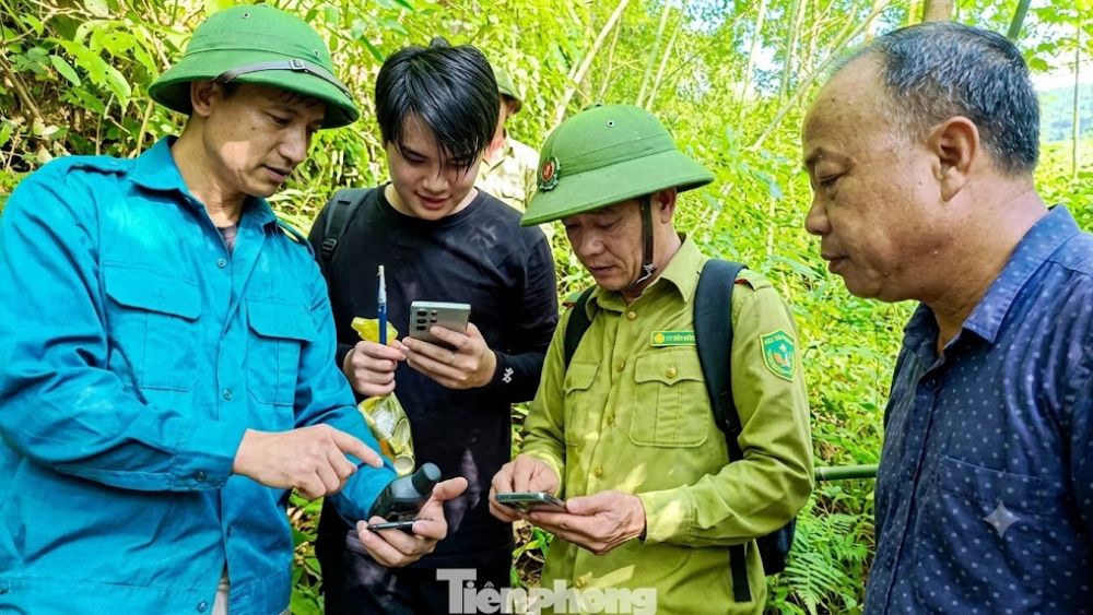 Khám phá quần thể chè cổ thụ hàng trăm năm tuổi cực kỳ quý hiếm giữa rừng nguyên sinh Quảng Ninh. Xem ngay hành trình khảo sát!