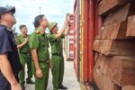 Phát hiện gần 1,2 tấn ngà voi được giấu trong các thanh gỗ