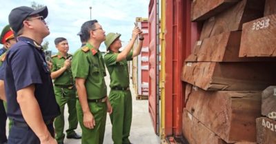 Phát hiện gần 1,2 tấn ngà voi được giấu trong các thanh gỗ