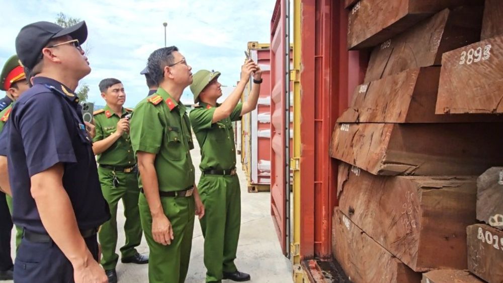 Phát hiện gần 1,2 tấn ngà voi cùng 79,3kg xương động vật được giấu tinh vi trong 3 container gỗ nhập từ Congo về Việt Nam.