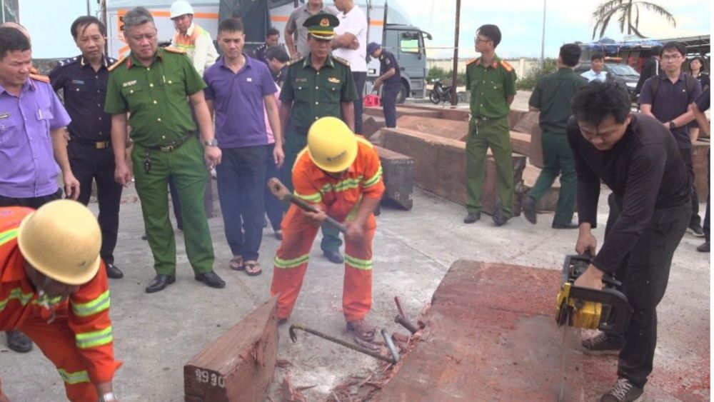 Phát hiện 1,2 tấn ngà voi nghi giấu trong 3 container gỗ tại Gia Lai. Lực lượng chức năng kiểm tra, thu giữ nhiều vật phẩm nghi là ngà voi.