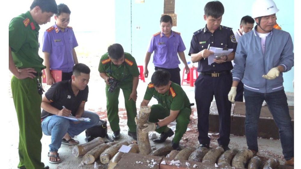 Công an Gia Lai phát hiện gần 1,2 tấn ngà voi cùng 79,3kg xương động vật giấu trong các hộp gỗ ở 3 container.