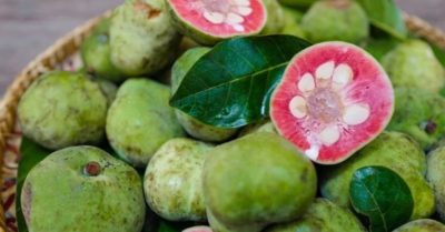 Quả chay, chuối xanh: Hai thực phẩm dân dã giàu dưỡng chất