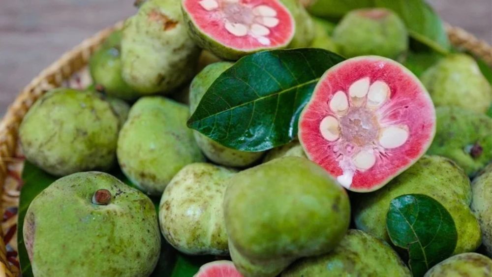 Quả chay và chuối xanh là thực phẩm tốt cho sức khỏe, giàu dưỡng chất, hỗ trợ tiêu hóa và kiểm soát cân nặng khi dùng hợp lý.