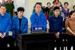 3 cựu cán bộ thú y Cần Thơ lãnh án vì tiếp tay cho thịt heo nhiễm dịch tả châu Phi