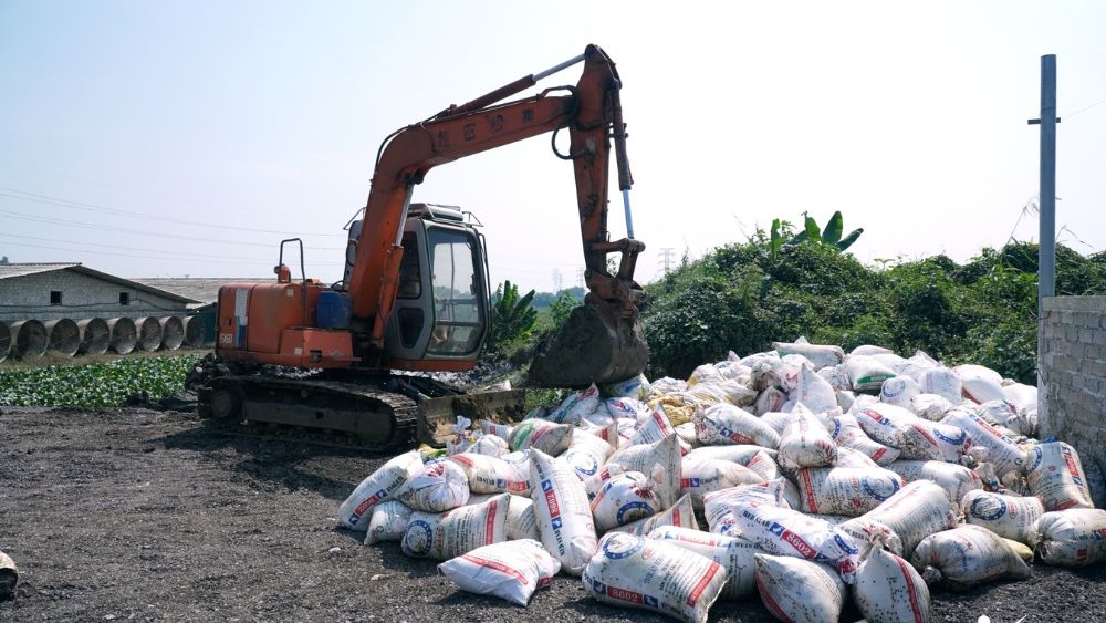 Sau lũ, khoảng 60.000 con gà, vịt tại trang trại ở Thanh Hóa chết, chủ trang trại phải thu gom, xử lý số gia cầm thiệt hại.
