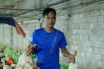 Trang trại Thanh Hóa mất trắng 60.000 gà vịt sau lũ dữ