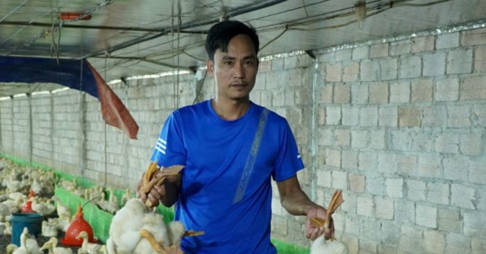 Trang trại Thanh Hóa mất trắng 60.000 gà vịt sau lũ dữ