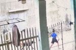 Bé trai 6 tuổi lạc trên núi, chú chó ở bên bảo vệ suốt đêm