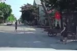 Cưa cây trước nhà, cây đổ ra đường đè chết người đi xe máy
